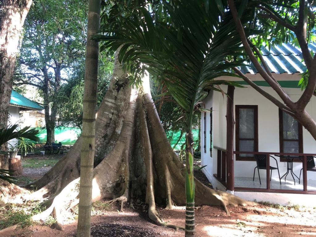 Tropical Paradise Leelawadee Resort Koh Chang Ngoại thất bức ảnh